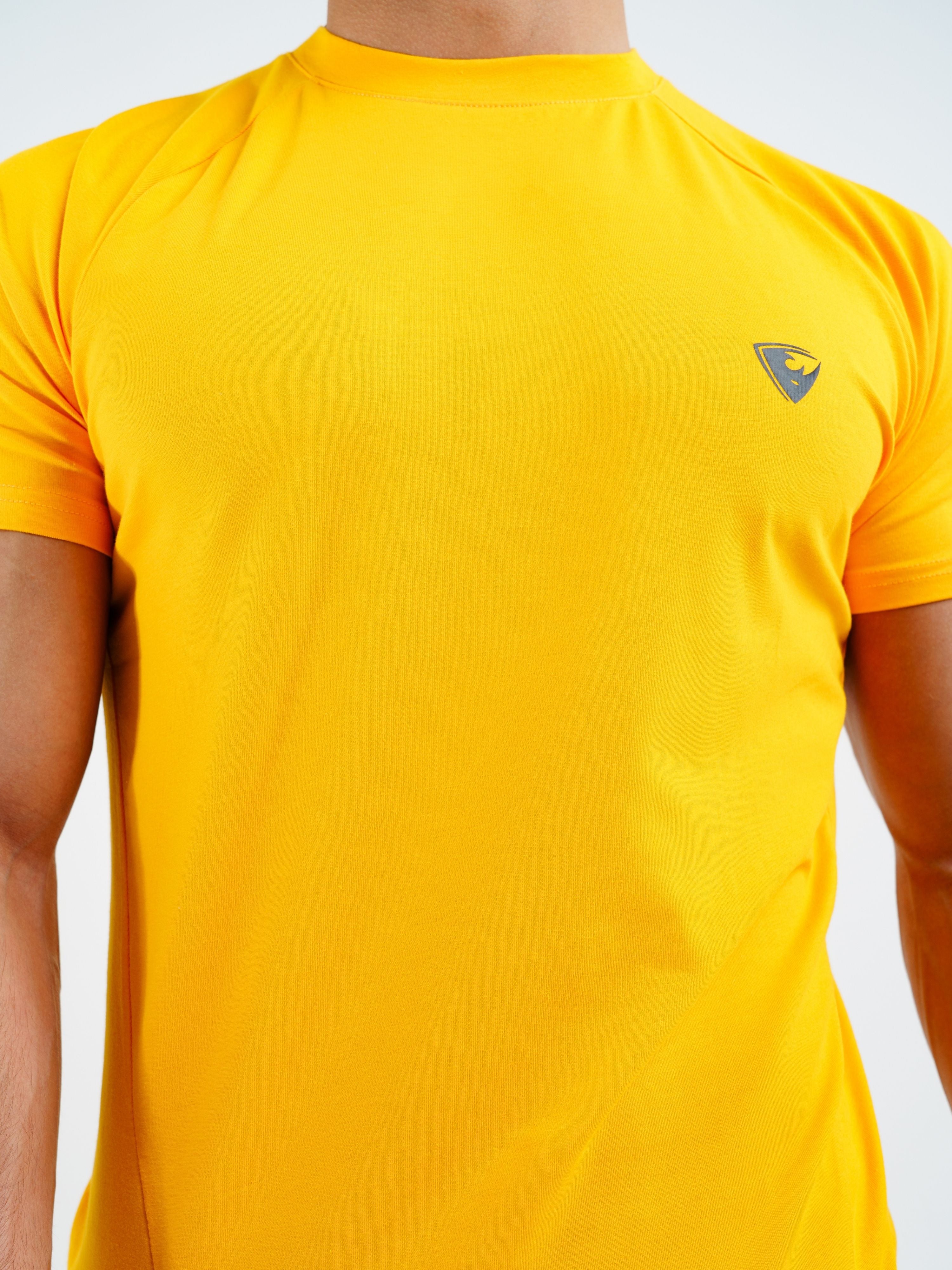 Men's Fitness Shirts